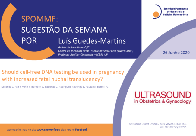 Luís Guedes-Martins