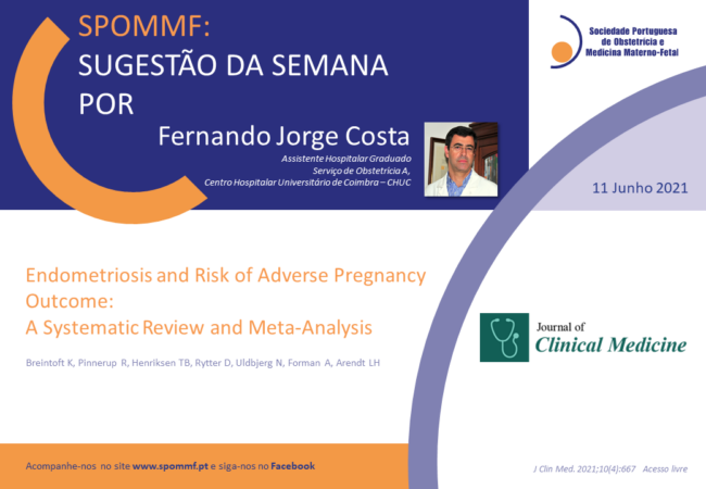 Fernando Jorge Costa