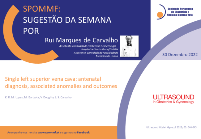 Rui Marques de Carvalho