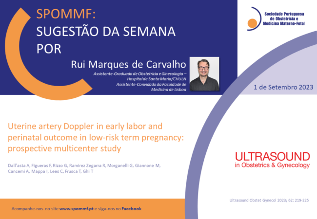 Rui Marques de Carvalho
