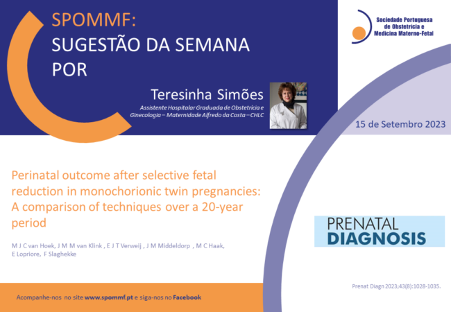 Teresinha Simões