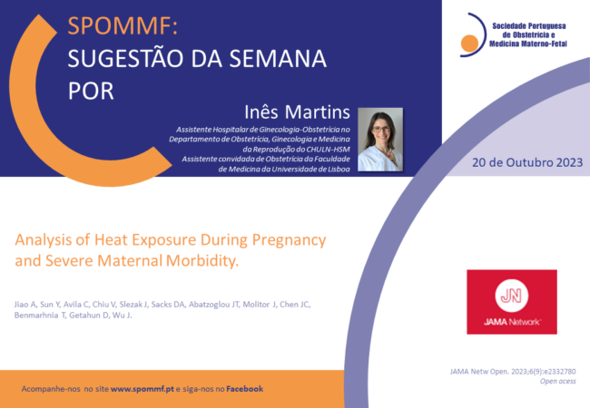 Inês Martins