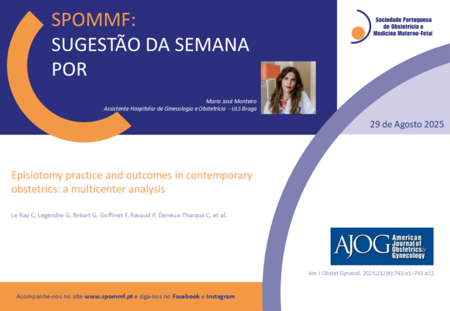 Maria José Monteiro