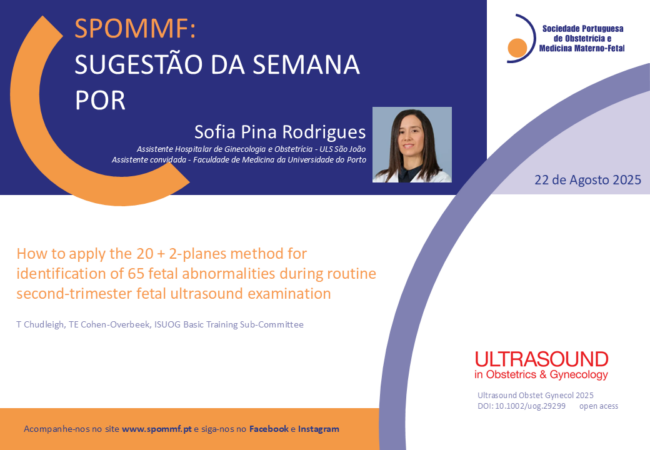 Sofia Pina Rodrigues