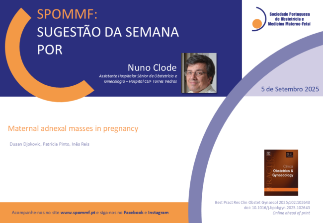 Nuno Clode