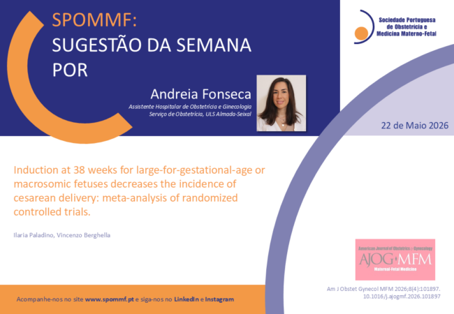 Andreia Fonseca