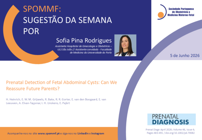 Sofia Pina Rodrigues